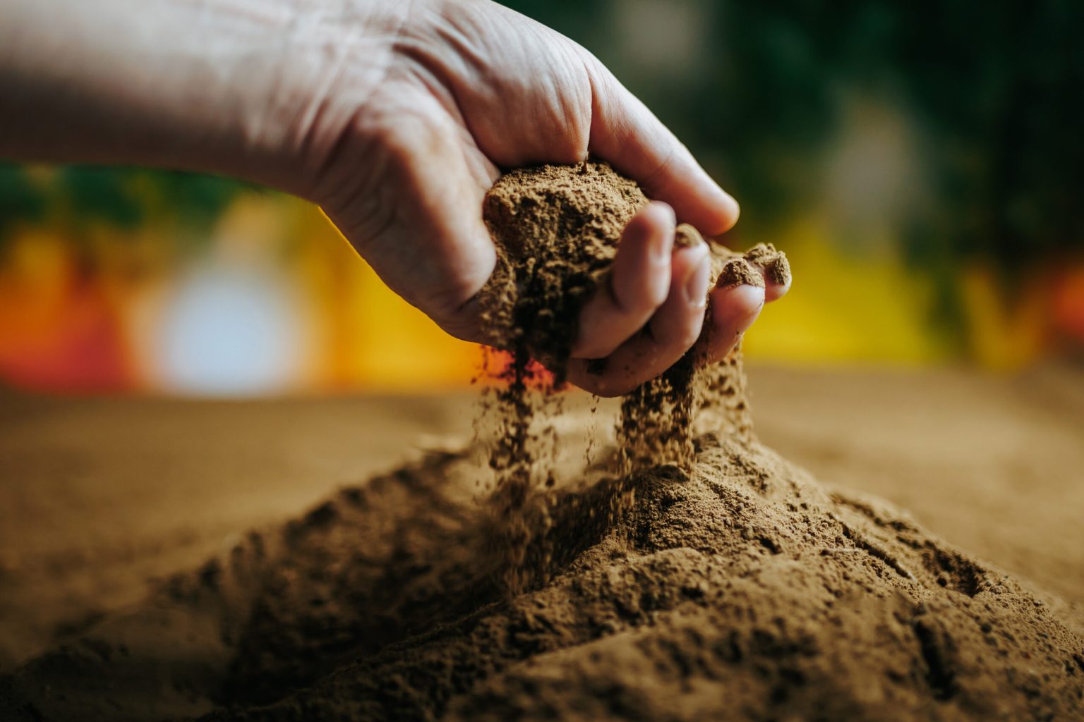 Sunlight streams in as a farmer's hands work the ground